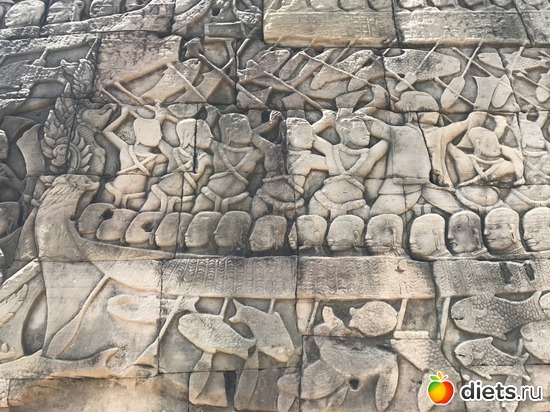 494 ����: ������ 2017. ��������