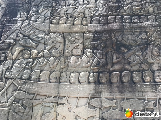 495 ����: ������ 2017. ��������