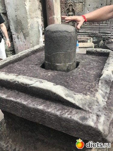 176 ����: ������ 2017. ��������