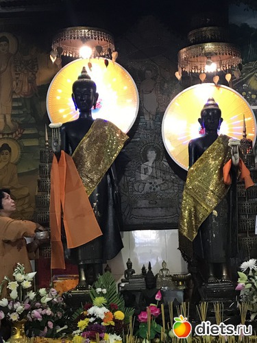 4 ����: ������ 2017. ��������