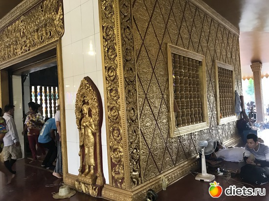 5 ����: ������ 2017. ��������