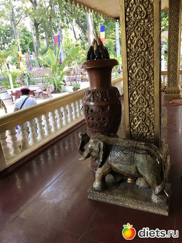 6 ����: ������ 2017. ��������