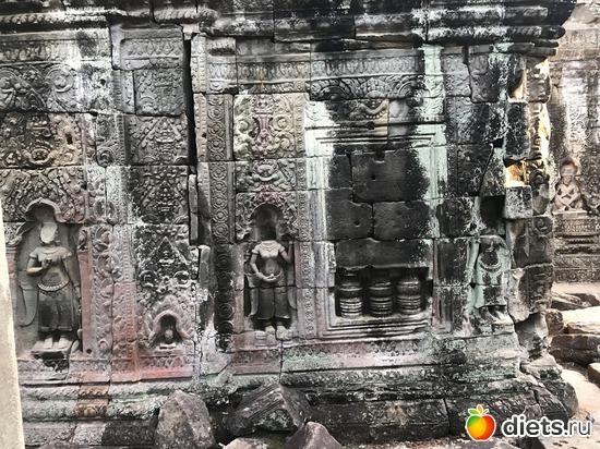 177 ����: ������ 2017. ��������