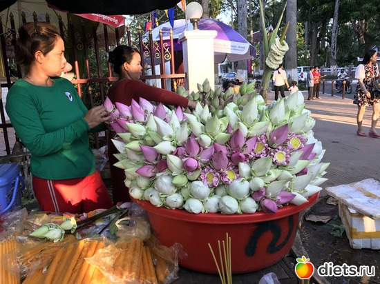 8 ����: ������ 2017. ��������