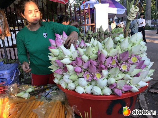 9 ����: ������ 2017. ��������