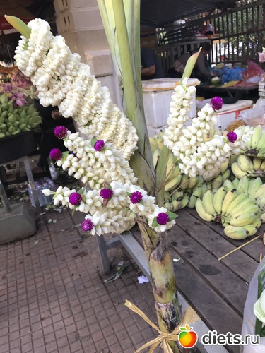 10 ����: ������ 2017. ��������