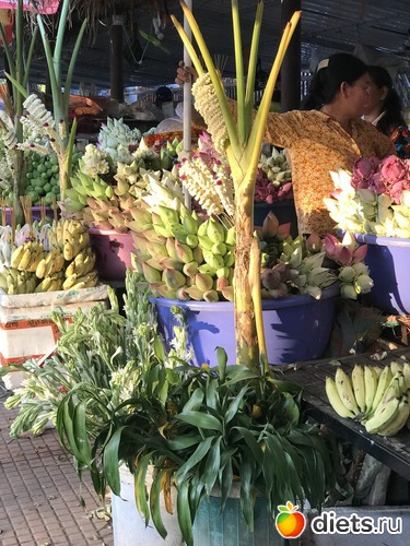 11 ����: ������ 2017. ��������