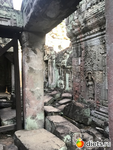 178 ����: ������ 2017. ��������