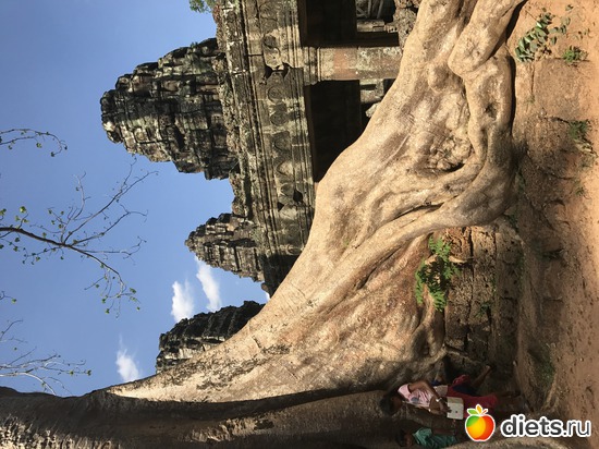 336 ����: ������ 2017. ��������