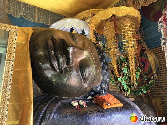 576 ����: ������ 2017. ��������