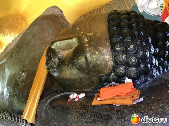 577 ����: ������ 2017. ��������