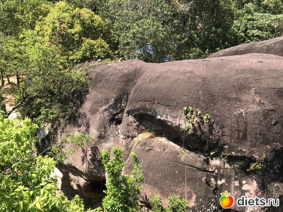 578 ����: ������ 2017. ��������