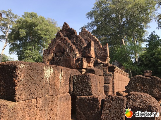 664 ����: ������ 2017. ��������