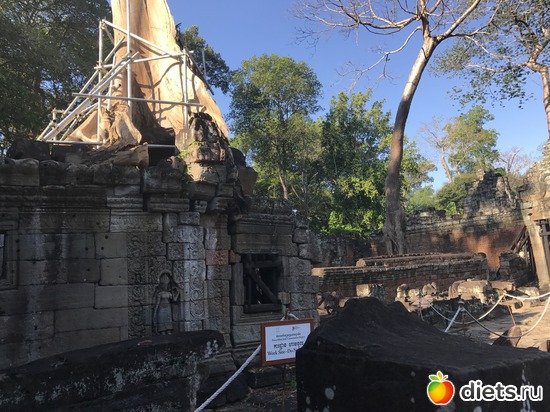 181 ����: ������ 2017. ��������