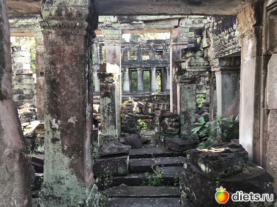 182 ����: ������ 2017. ��������