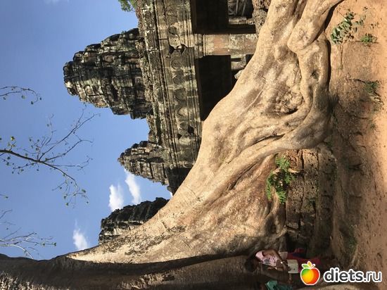 337 ����: ������ 2017. ��������