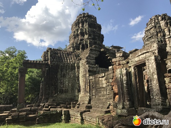 338 ����: ������ 2017. ��������