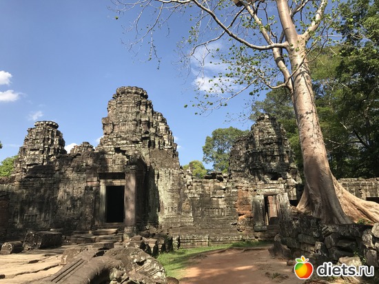 339 ����: ������ 2017. ��������