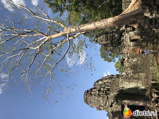 340 ����: ������ 2017. ��������