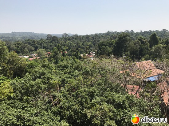 579 ����: ������ 2017. ��������