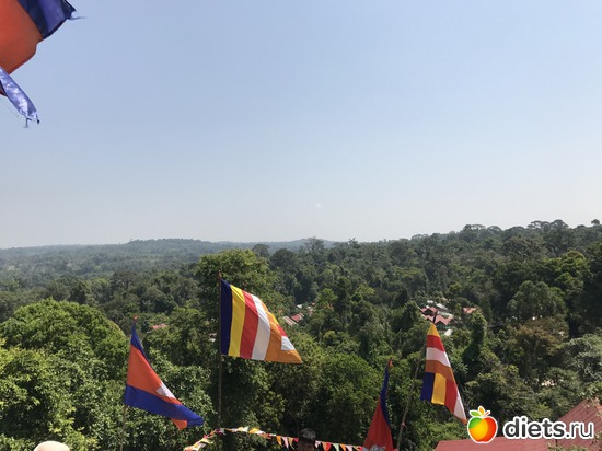 581 ����: ������ 2017. ��������