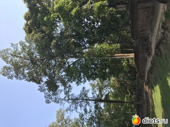 667 ����: ������ 2017. ��������