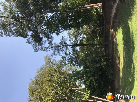 668 ����: ������ 2017. ��������