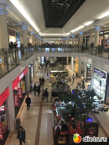 217 ����: ������-������� 2017. ��� 53-54