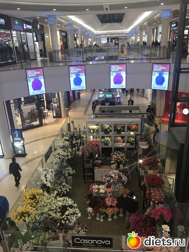 218 ����: ������-������� 2017. ��� 53-54