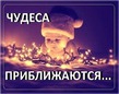 ����� �� ������� " ����� 60". ����� �� ������� �� 28.12.2017