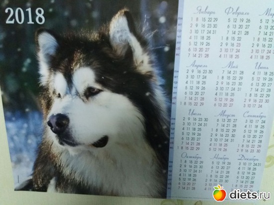 ���������, ������: ������� -�������