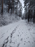    &quot;  60&quot;.      29.12.2017