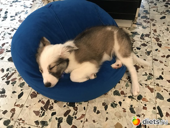 24 ����: ����