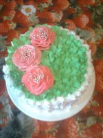 ��� �������.