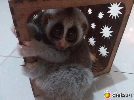 24 ����: ��� ��������