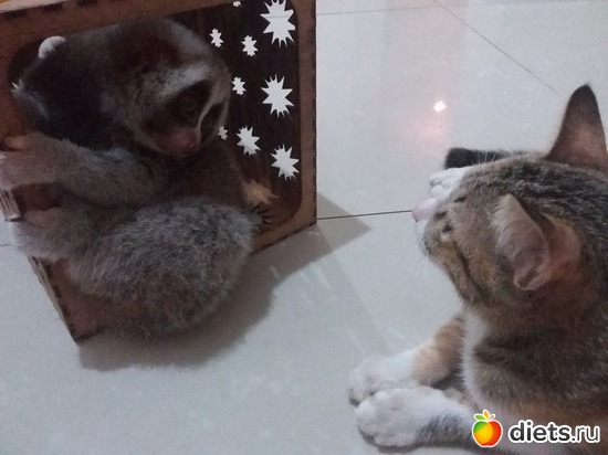 25 ����: ��� ��������