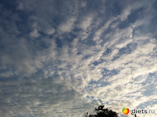 4 ����: ������, ������� � ����.