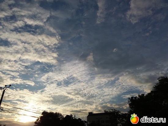 5 ����: ������, ������� � ����.