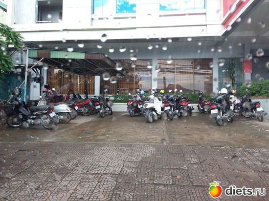 19 ����: ����������, ������ �����