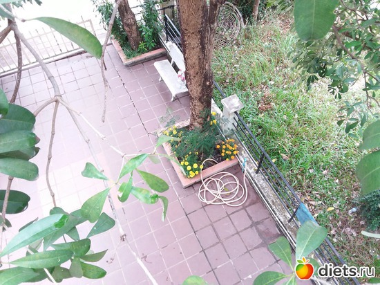 17 ����: ��������..