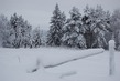 Зима. Саша Чёрный. Стихотворение.