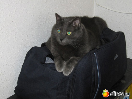 9 ����: � � ��