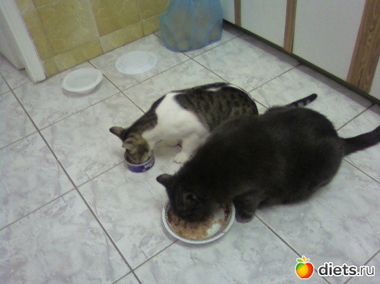 14 ����: � � ��