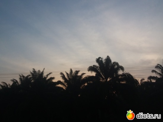 6 ����: ������, ������� � ����.