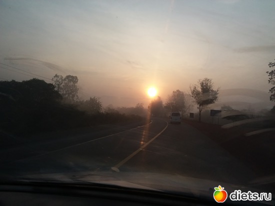 7 ����: ������, ������� � ����.