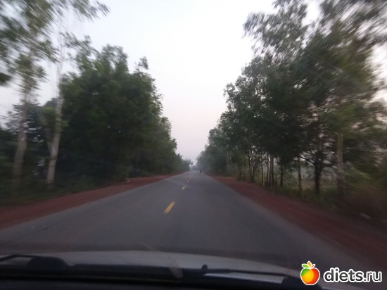 9 ����: ������, ������� � ����.