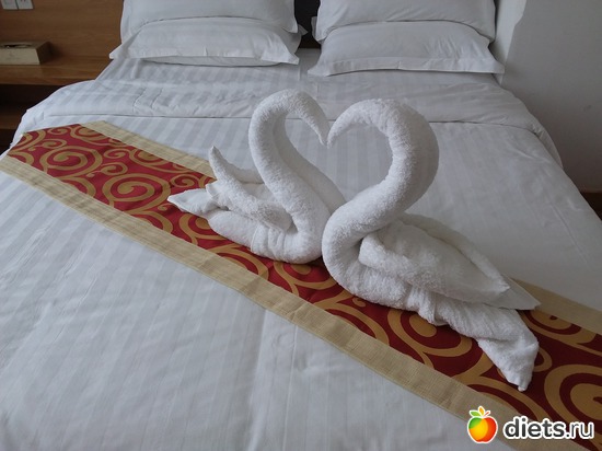 ��� ����� 1, ������: ������� � ���� ����.