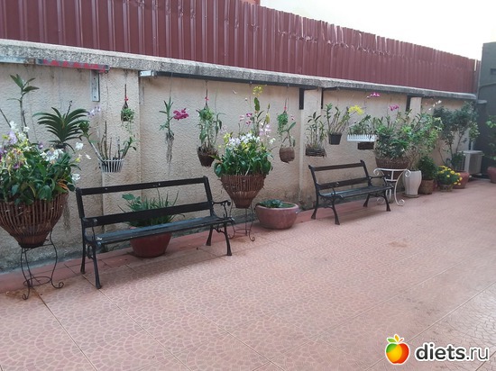 ������� �� ������ 1, ������: ������� � ���� ����.