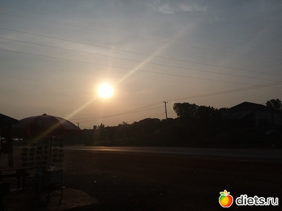 12 ����: ������, ������� � ����.