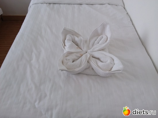 26 ����: ������� � ���� ����.